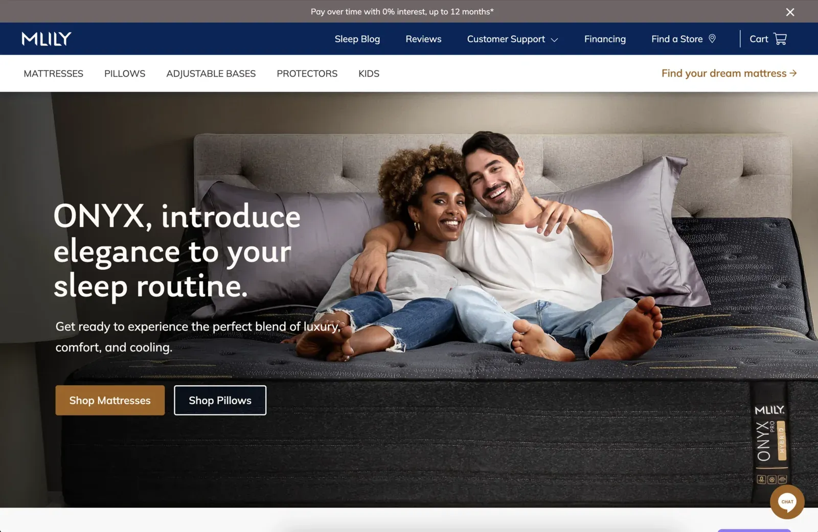 Screenshot of the MLILY website