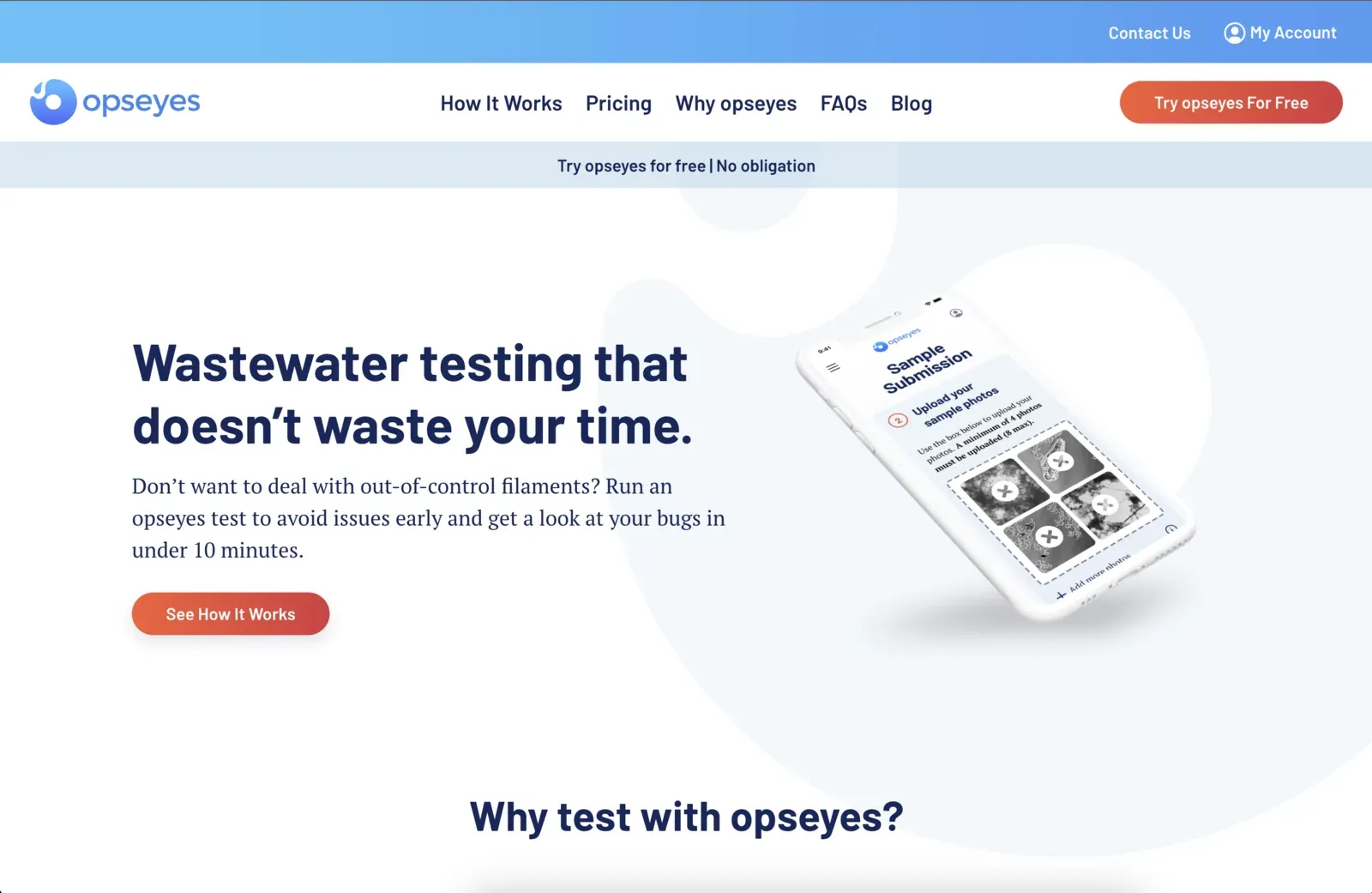 Screenshot of the Opseyes website
